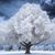 Lori Farr Ensley's profile image
