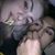 Damion Alcantar's profile image