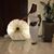 Jo-Ann Bell-Williams's profile image