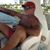 Bill Borawski's profile image