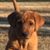 Christy M Perkins's profile image