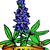 Larry Christianson's profile image