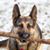 Marc Baumser's profile image