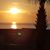 Marcia McNelly- Baker's profile image