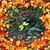 Dena Harding Rusak's profile image