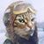 Chris Rose's profile image
