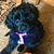 Lois Ann Taylor's profile image