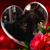 Tawny Chevalier's profile image