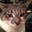 Kelly Kazmierczak's profile image