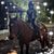 Sharon Karz's profile image