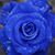 Maggie Flynt's profile image