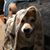 Lori Vierow's profile image