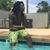 Daiquan Mays's profile image