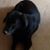 Mary Ann Stomboli's profile image