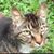 Stephen P. Porter's profile image
