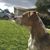 Antoinette Campbell's profile image