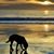 Margie Joseph's profile image