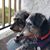 Deborah J Austin's profile image