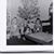 Teresa Pewitt Conkel's profile image