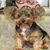 Lynnda Horne-Freeman's profile image