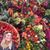 Mary Brown's profile image