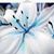 Sherry L Moore's profile image
