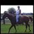 Susie Ford's profile image
