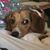 Jennifer Blackledge Buxton's profile image