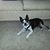 Tom Stiverson's profile image