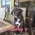 Kimberly Chase's profile image