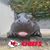 Maryann Bracken's profile image