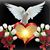 Noemi Ramon's profile image