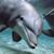 Cheryl Blovas's profile image