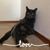 Jeanne Bowden's profile image