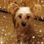 Lynn Bruski's profile image