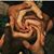 Debbie Cunningham's profile image
