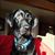 Karen Jewell's profile image