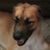 Randy Wilhoit's profile image
