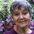 Sharon Greenawalt's profile image