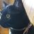 Tina Cluff's profile image