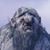 Laura Rahfuse's profile image