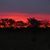 Bonnie Broadaway's profile image
