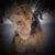 Crystal Wine LoBretto's profile image