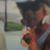 Augie Bosley's profile image