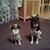 Randy Earles's profile image