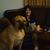 Debi Adkins Lovejoy's profile image