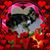 Maxine Quarles's profile image