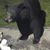 Carol Lyons's profile image
