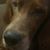 John DiTucci's profile image