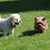 Marilyn Carpowich's profile image